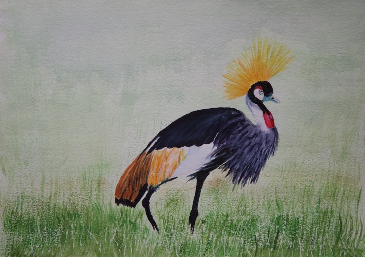 Crested Crane for Jacob