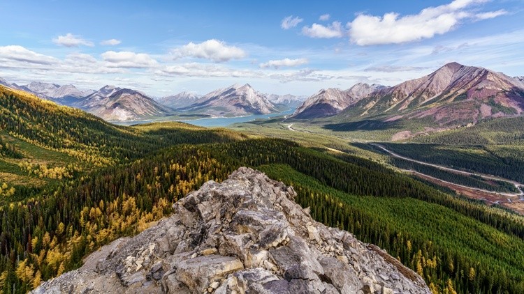 A hike up to a lovely view of the mountains