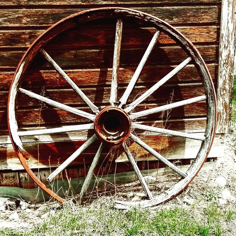 Wagon wheel