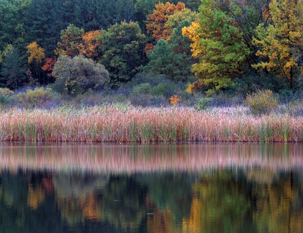 Dufield Pond1