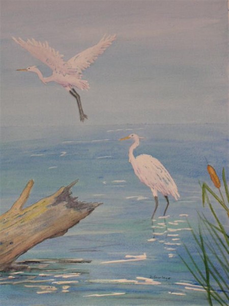 White herons On The Pond