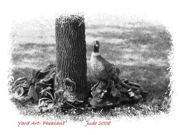 Yard Art- Pheasant
