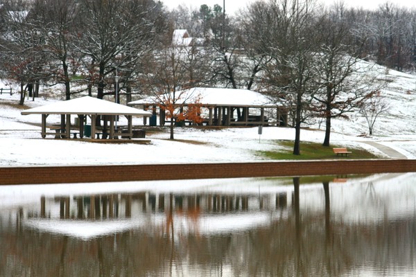 Winter Park Scene