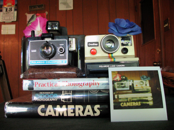 Polaroids & Books
