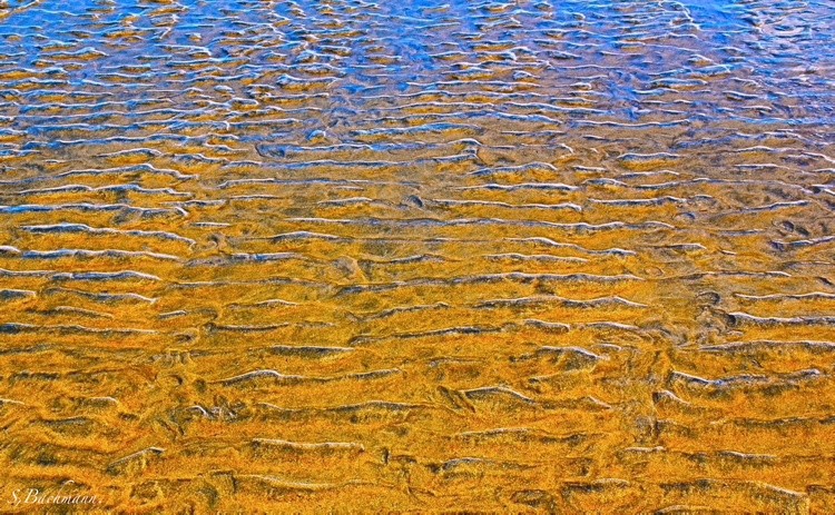 Close up of the golden sands.