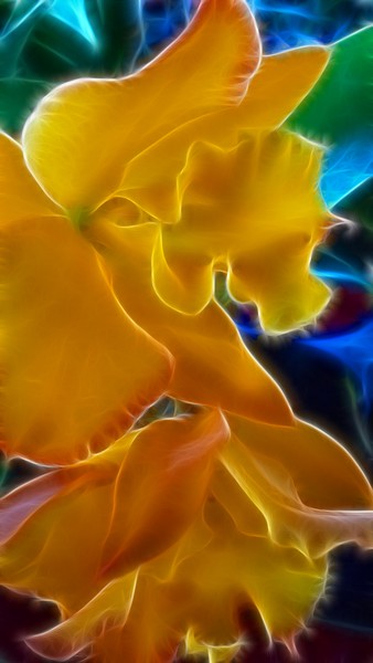 Fractalius floral