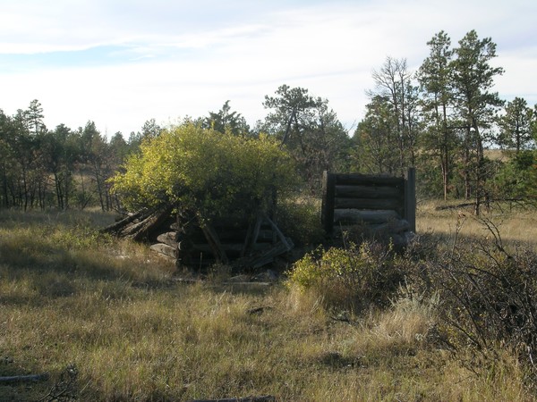 Log Cabin Remains