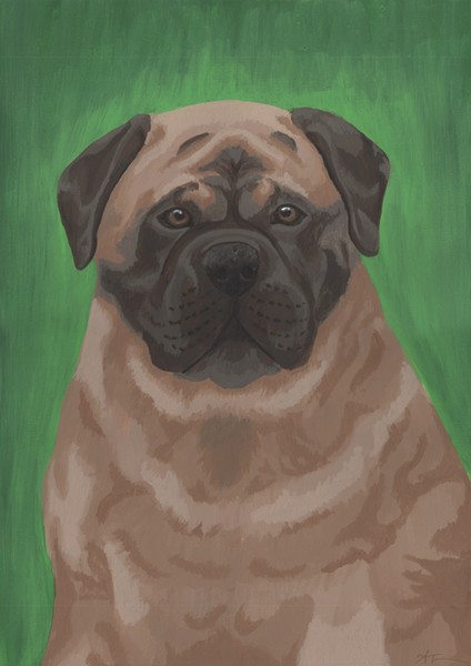 Mastiff