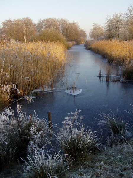 anneke winter in Friesland