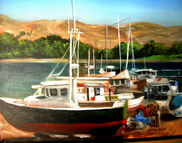Boat Yard in Bodega Bay