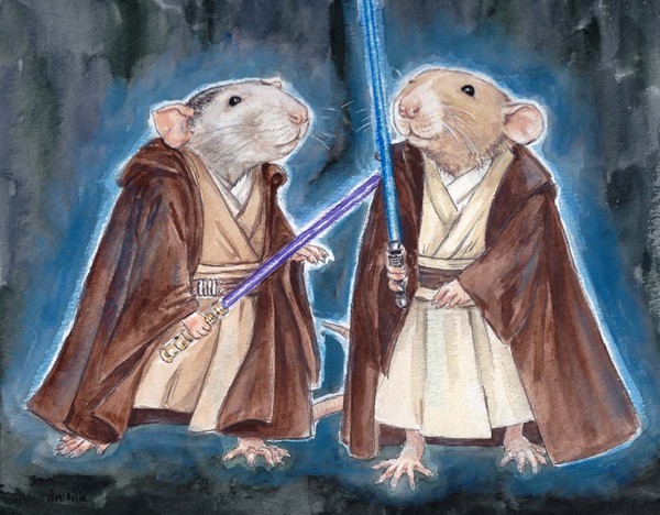 Jedi Rats