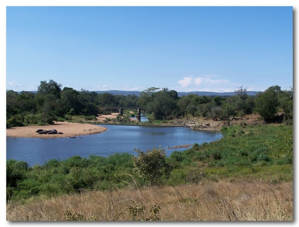 Kruger Park near crocodile bridge