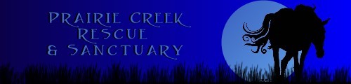 Prairie Creek Logo 3