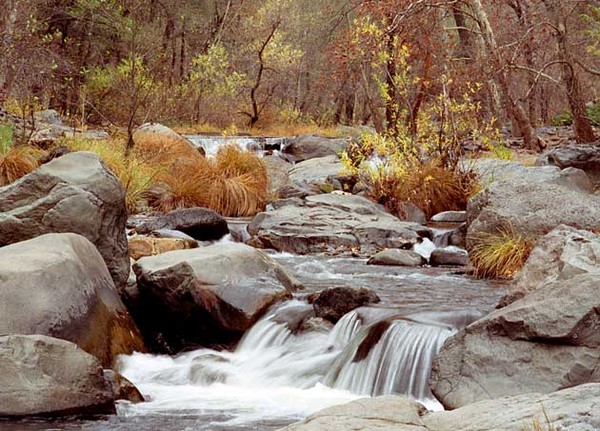 Oak Creek Autumn  Sedona Arizona