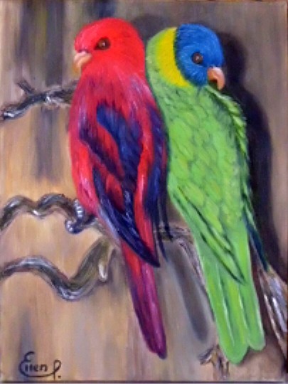 Parrot Pair