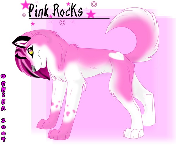 Pink Rocks