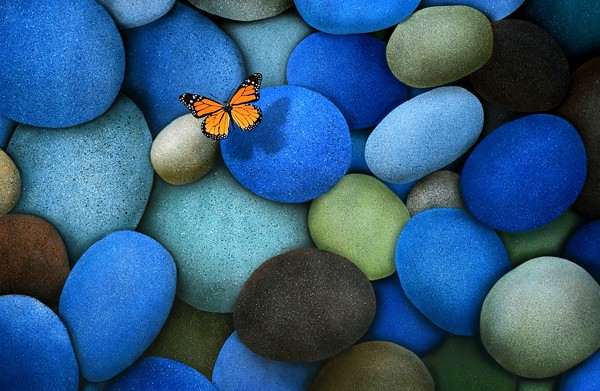 Blue Stones and Butterfly