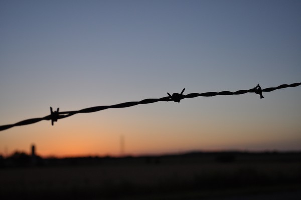 Barbed wire over the country