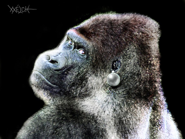 GORILLA WITH A PEARL EARRING copy