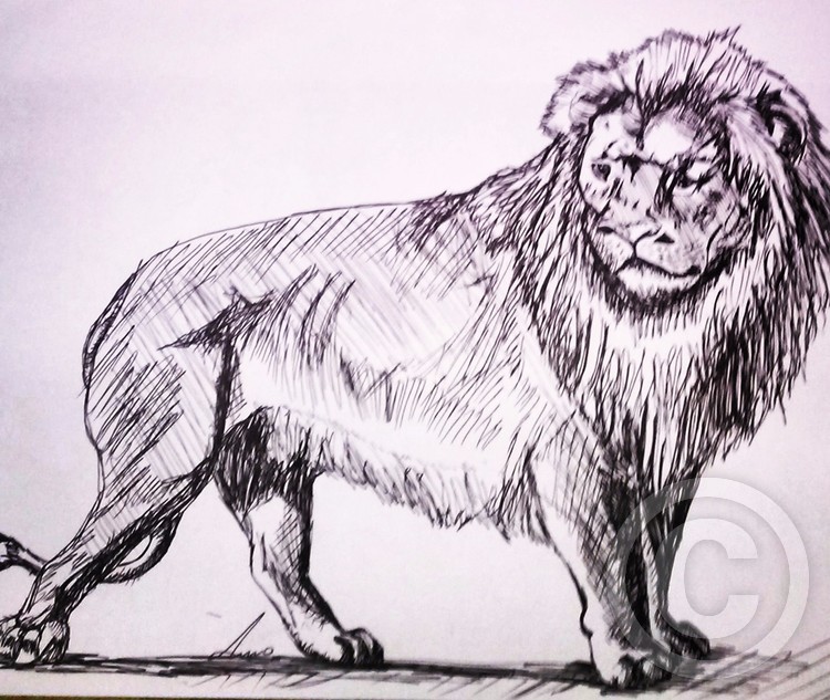 lione