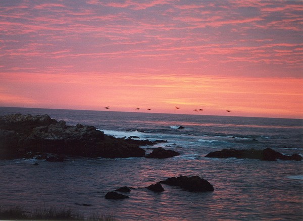 Pacific Grove Sunset