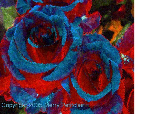 Blue-Red Roses