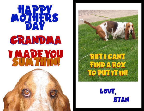 Stan's Mother's Day Card