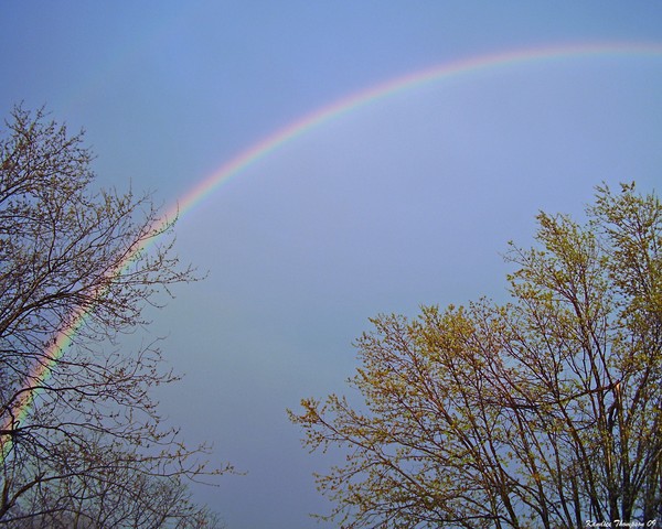 Rainbow 1