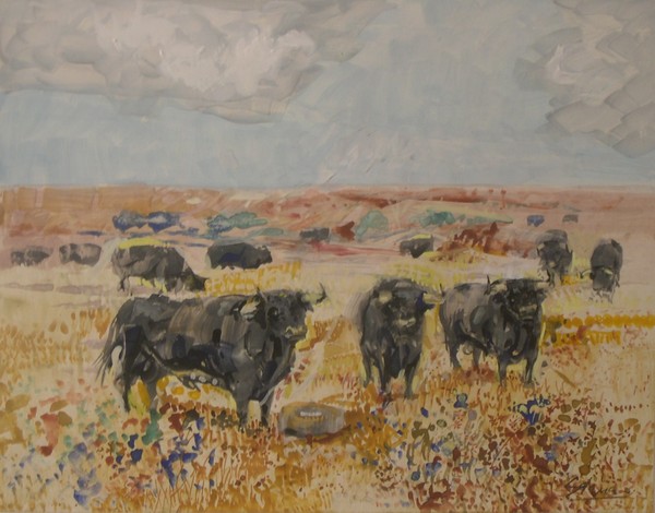 Bulls grazing