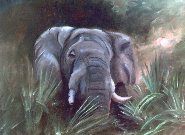 Elephant Portrait