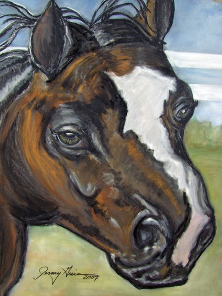 Stallion Closeup