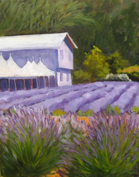 The Lavender Barn