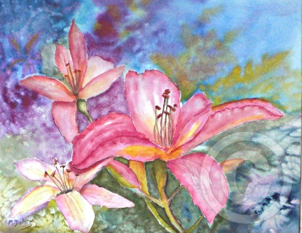 Pink Daylilies