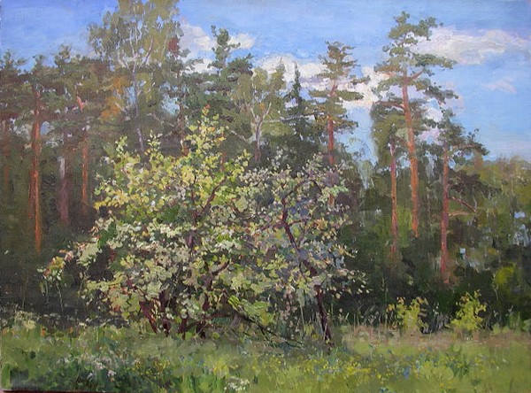 Summer Landscape