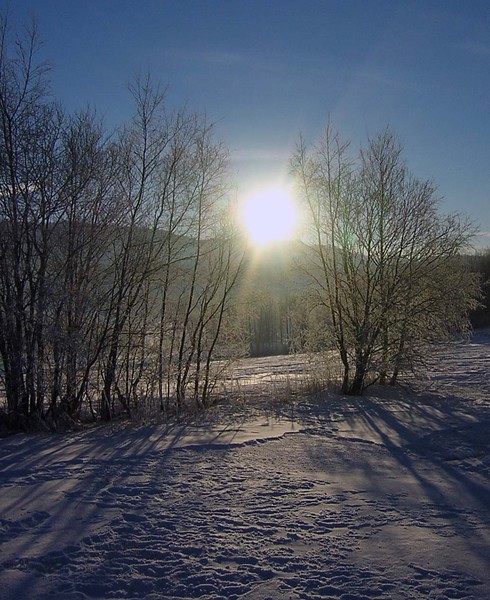 Shadows in the snow