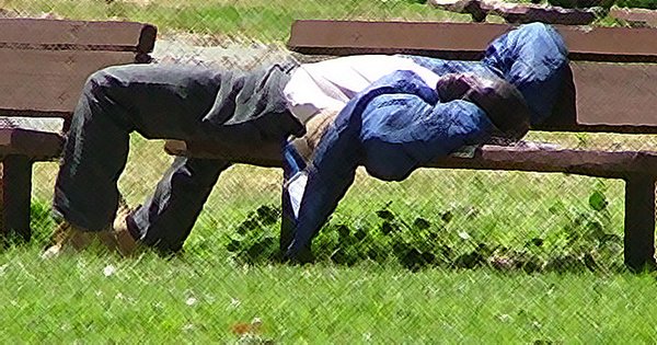 nap in the park