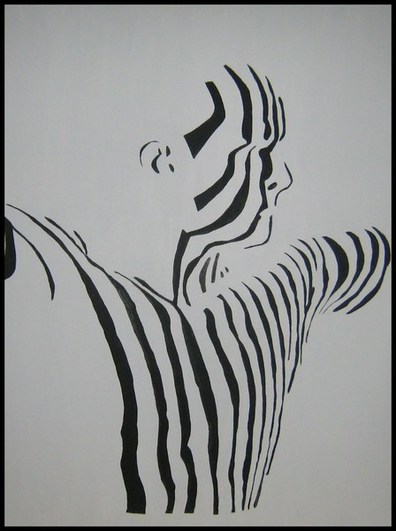 male-zebra