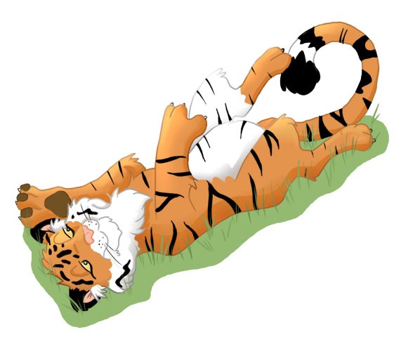 Lazy tiger