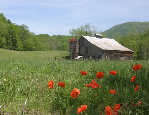 Memorial Day Barn