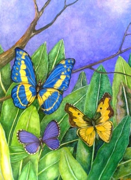 butterflies made for nikki