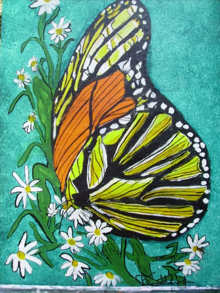 monarch butterfly