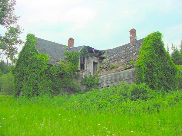 Old Farm House Losing the Battle
