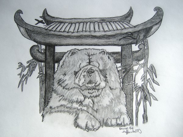 Chinese_Chow