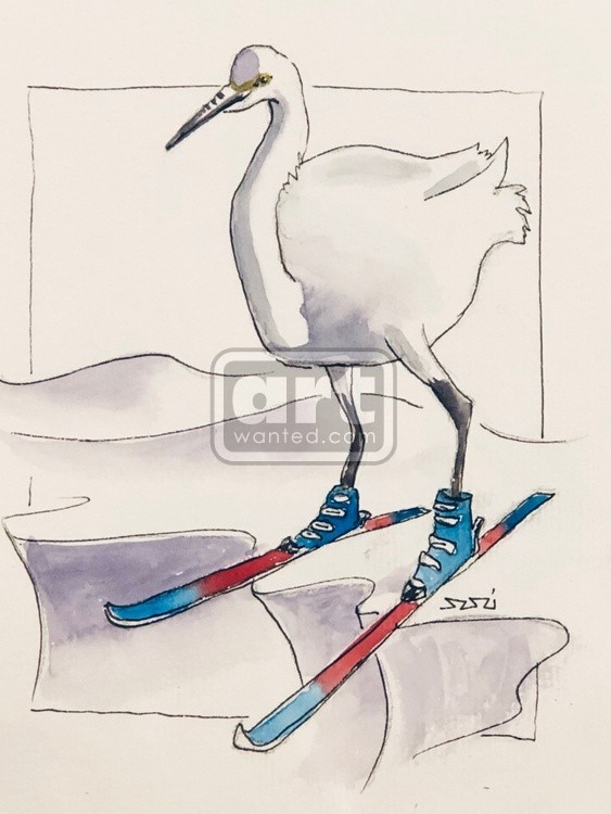 Heron on Skis