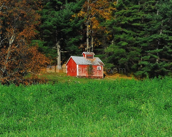 Maple Sugar Shack