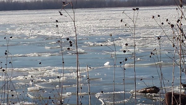 Ice on the Mississippi River