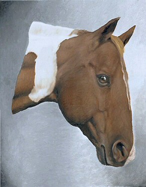 Wrangler - A paint horse
