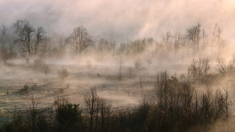 Frost During a Foggy April Morning