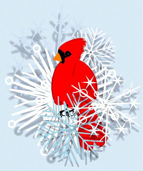 Red Cardinal in snow