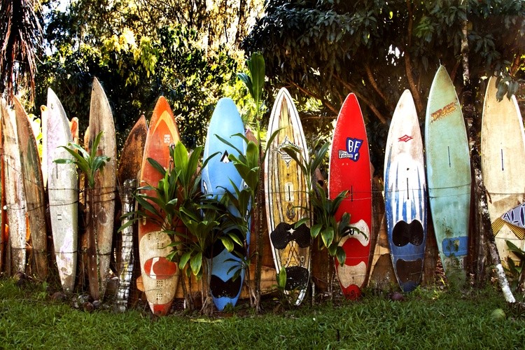 surfboard wall
